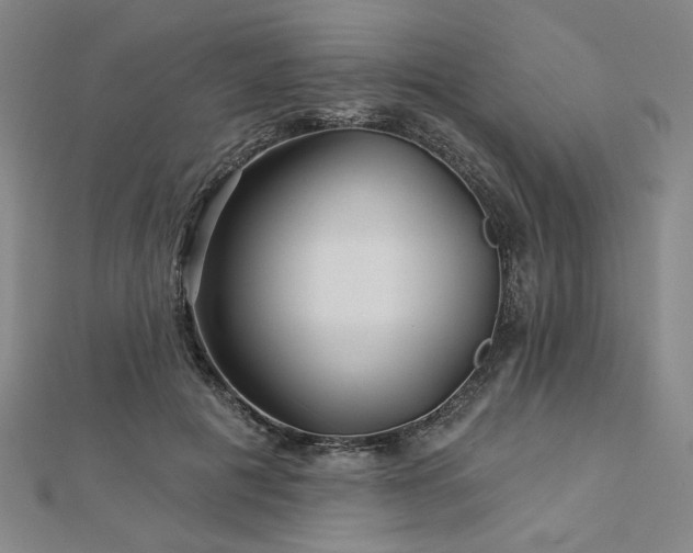 X0000113000601200908271349
