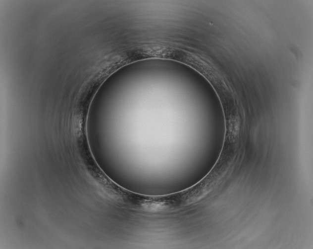 X0000113000602200908271349