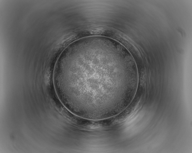 X0000113000604200908271349