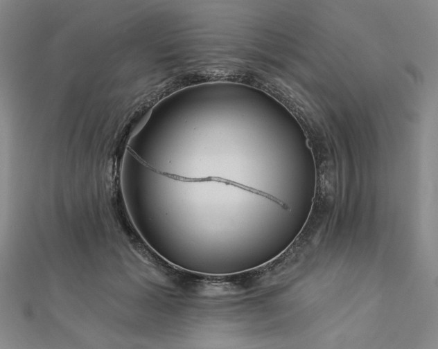 X0000113000605200908271349