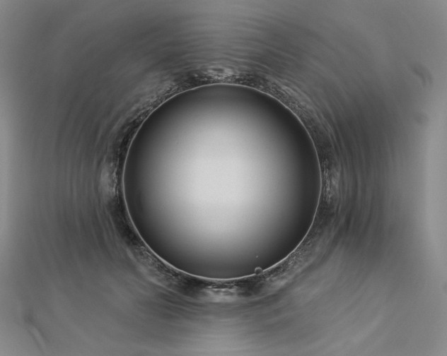 X0000113000606200908271349