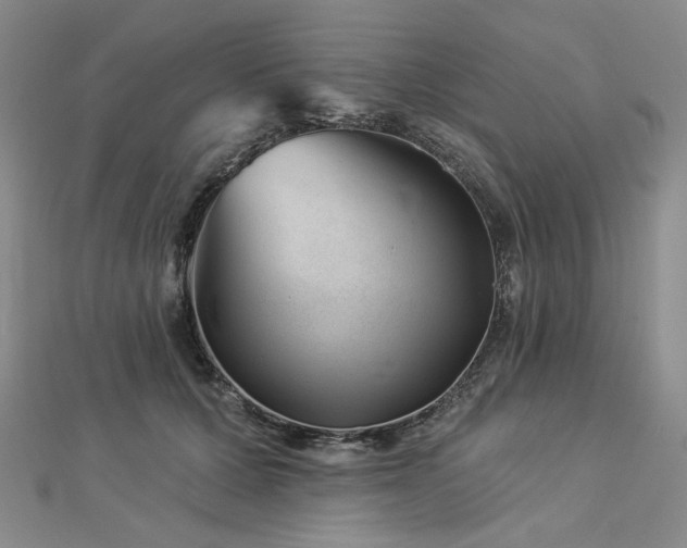 X0000113000607200908271349