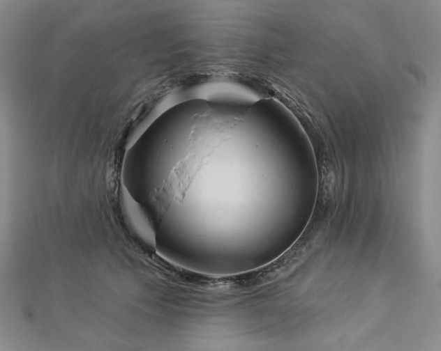 X0000113000609200908271349