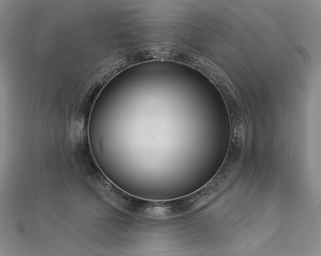 X0000113000610200908271349