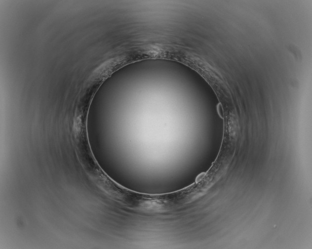 X0000113000611200908271349