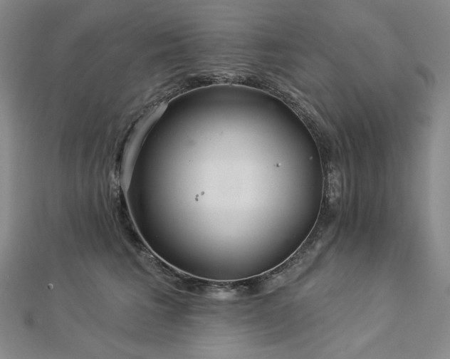 X0000113000613200908271349