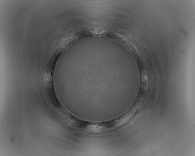 X0000113000614200908271349