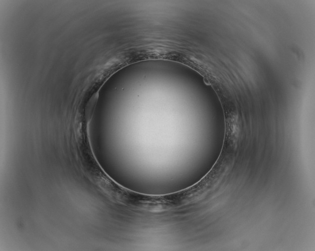 X0000113000615200908271349