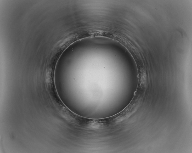 X0000113000616200908271349