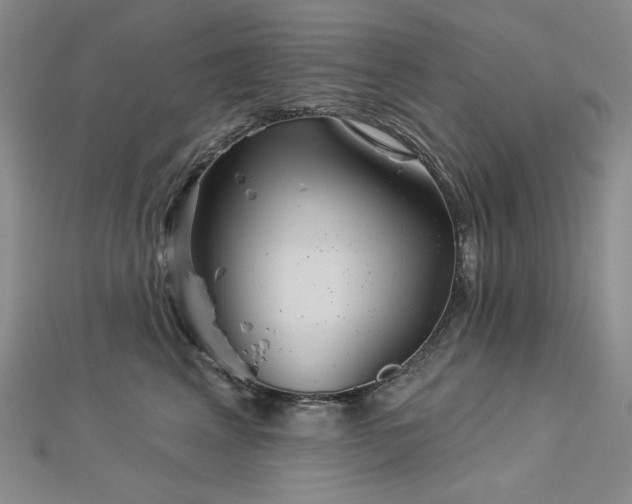 X0000113000617200908271349