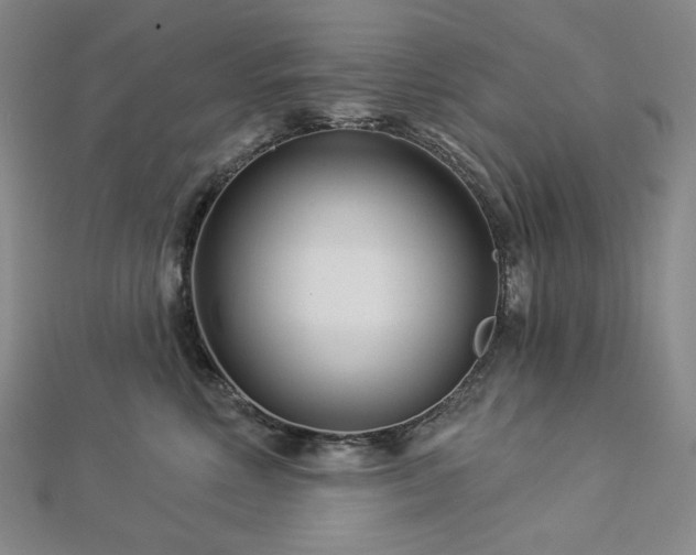 X0000113000618200908271349