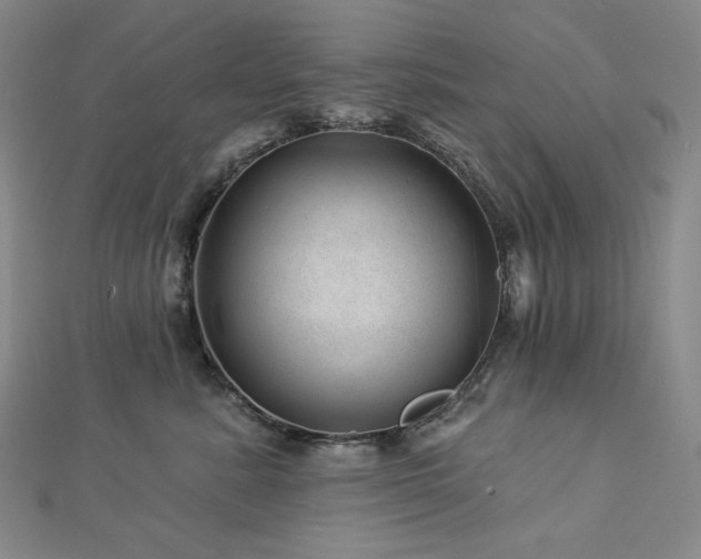 X0000113000619200908271349