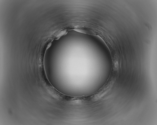 X0000113000620200908271349