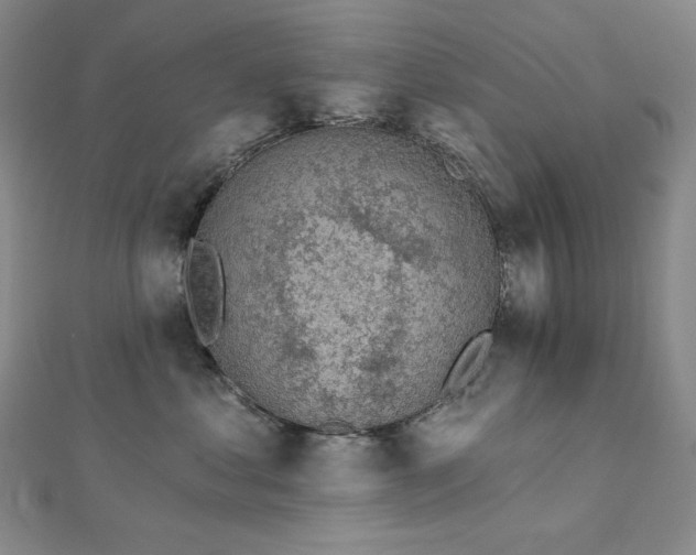 X0000113000621200908271349