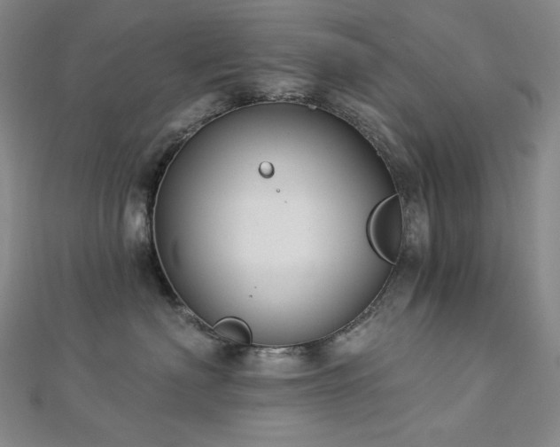 X0000113000622200908271349