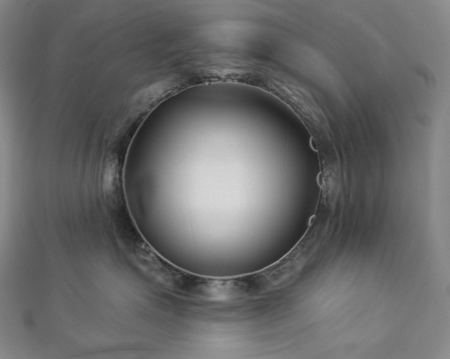 X0000113000623200908271349