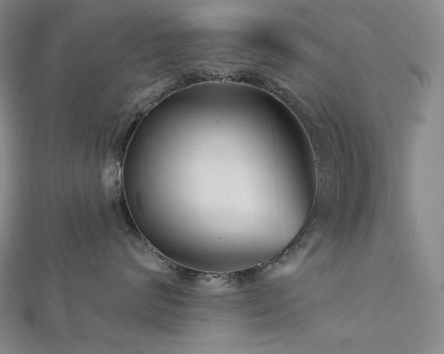 X0000113000624200908271349