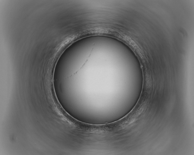 X0000113000625200908271348