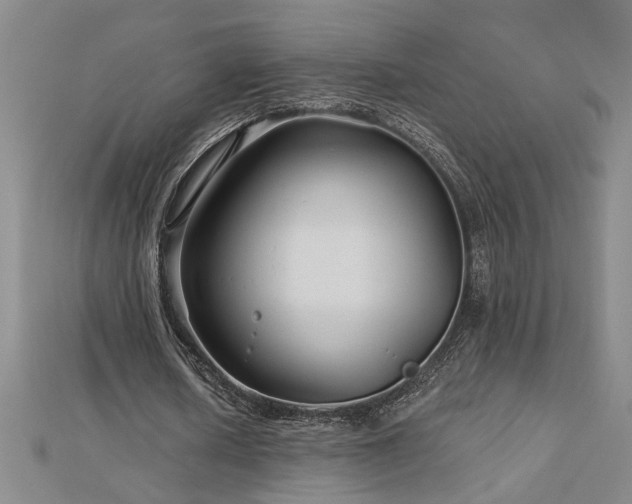 X0000113000626200908271348