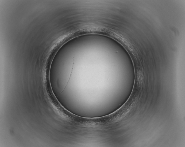 X0000113000629200908271348