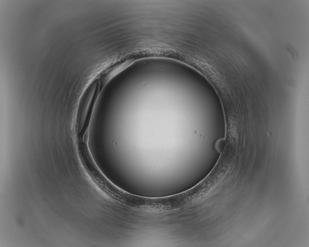 X0000113000630200908271348
