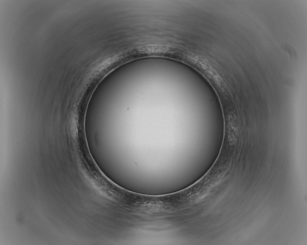 X0000113000631200908271348