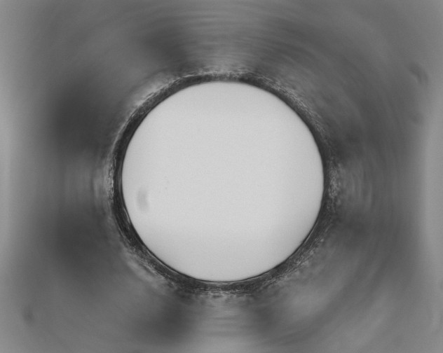 X0000113000632200908271348