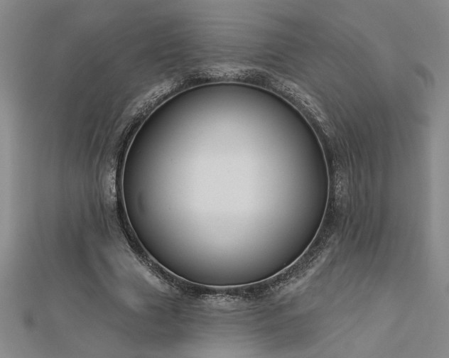 X0000113000633200908271348
