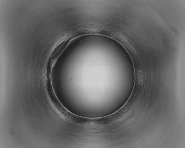 X0000113000634200908271348