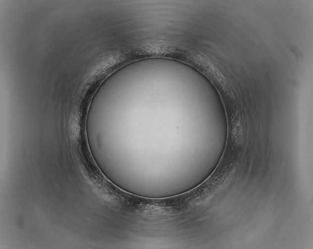 X0000113000635200908271348