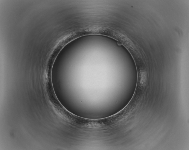 X0000113000636200908271348