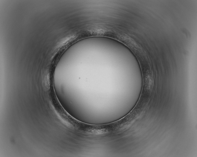 X0000113000638200908271348