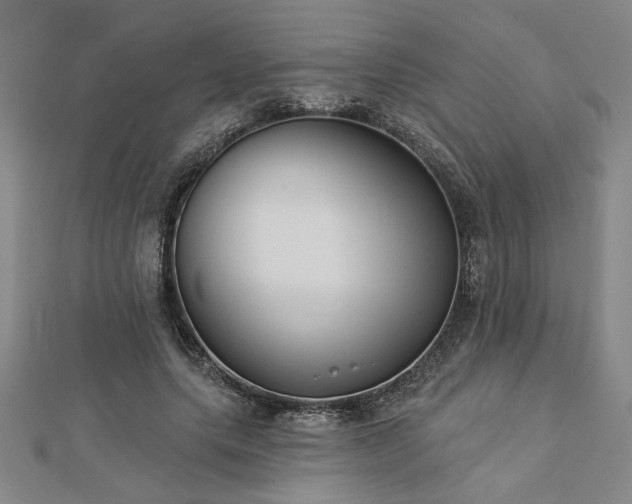 X0000113000639200908271348