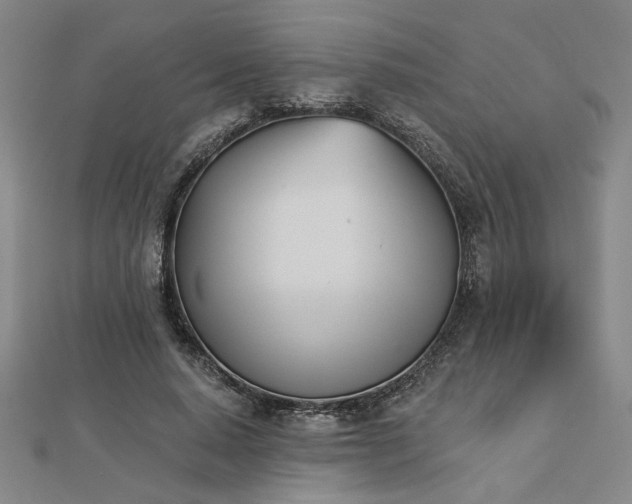 X0000113000640200908271348