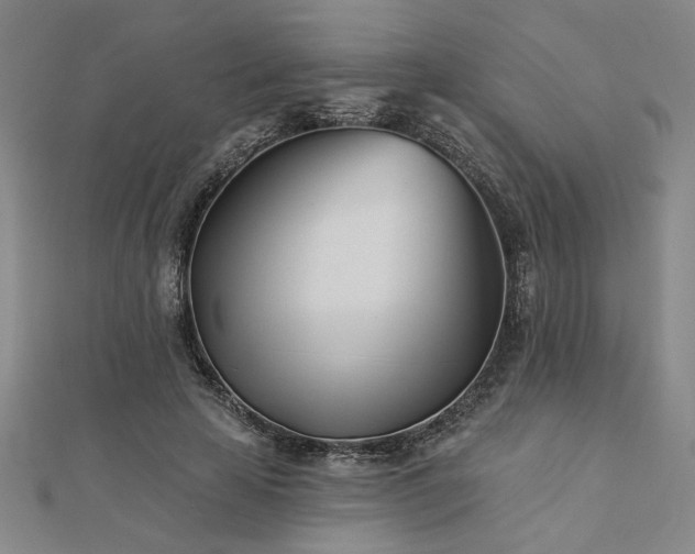 X0000113000641200908271348