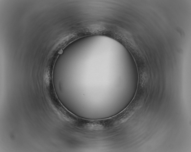 X0000113000644200908271348