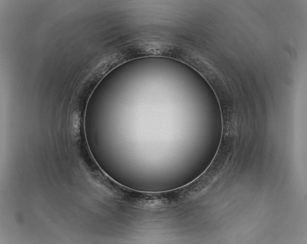 X0000113000646200908271348