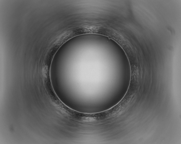 X0000113000649200908271348