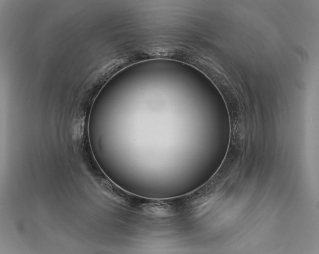 X0000113000652200908271348