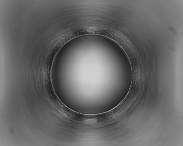 X0000113000653200908271348