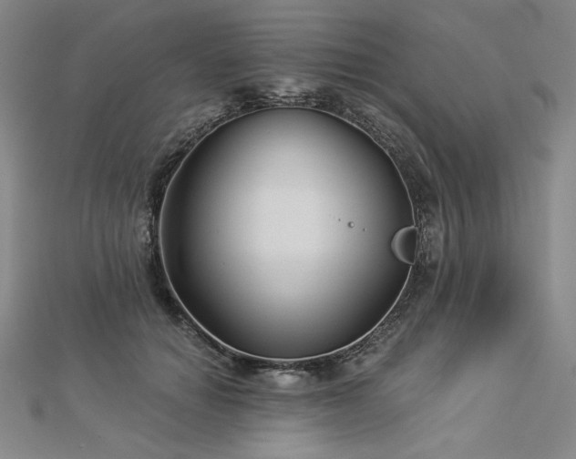 X0000113000654200908271348