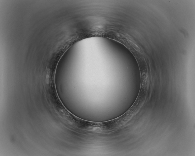X0000113000655200908271348