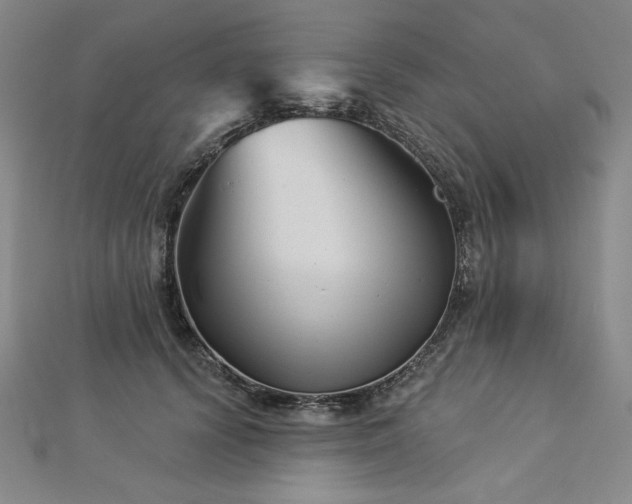 X0000113000656200908271348