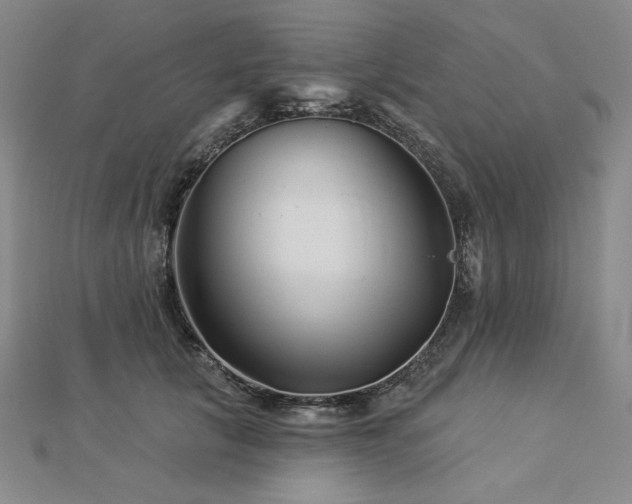 X0000113000657200908271348