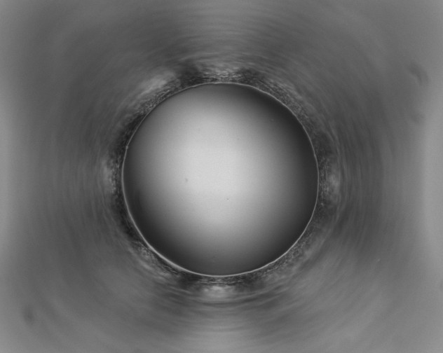 X0000113000658200908271348