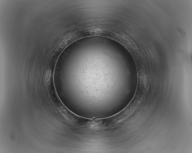 X0000113000660200908271348