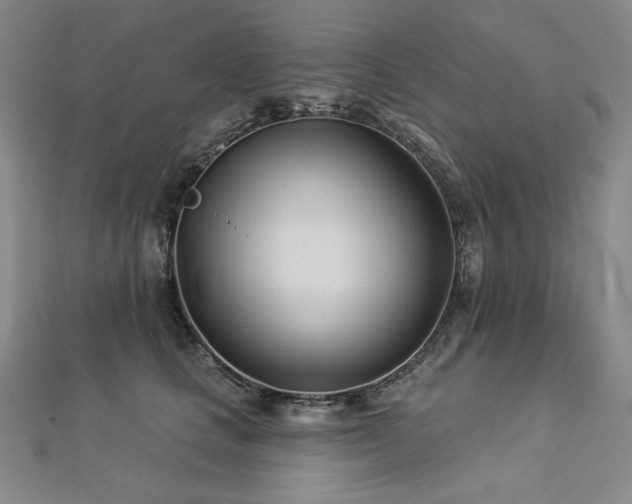 X0000113000661200908271348