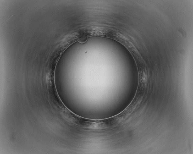 X0000113000663200908271348