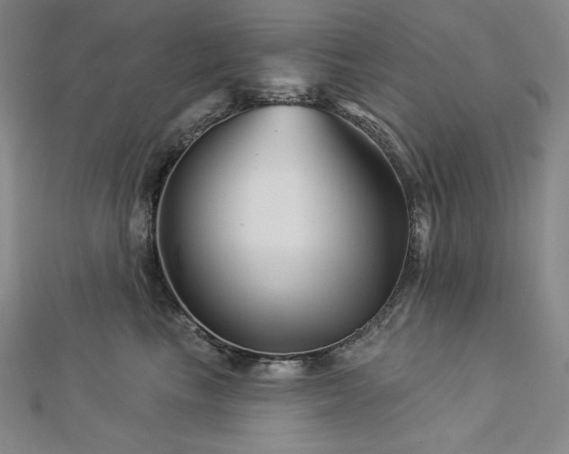 X0000113000665200908271348