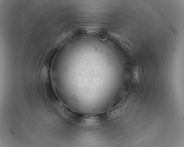 X0000113000667200908271349